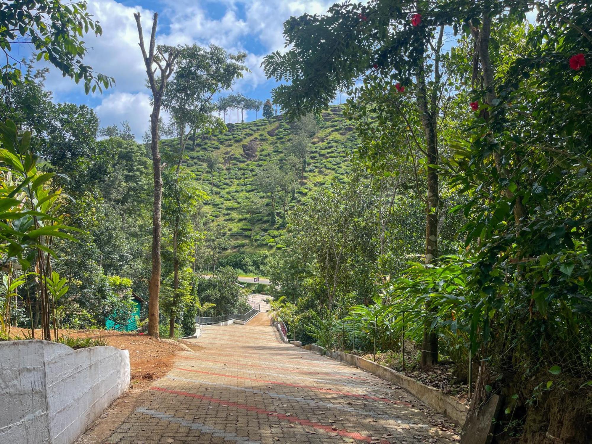Snow Hills Resorts Thekkady Exterior foto